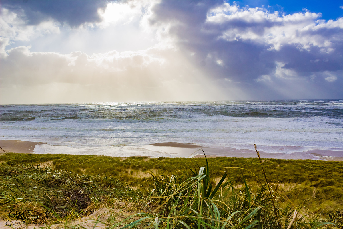 Urlaubsparadies Bjerregaard an der dänischen Nordsee